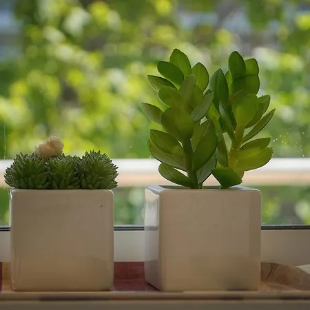 Lägenhet Tine -croisette-150m Plage- Vca Cannes