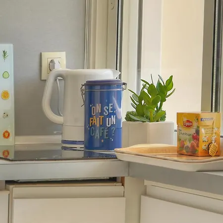 Tine -croisette-150m Plage- Vca קאן